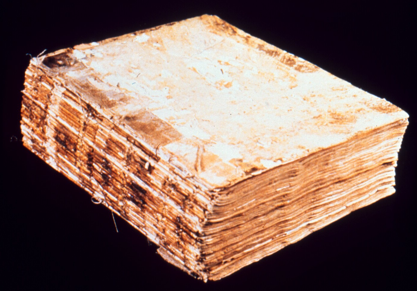 Figure 1: (P_BD_1) Paduan codex, ca. 15th century