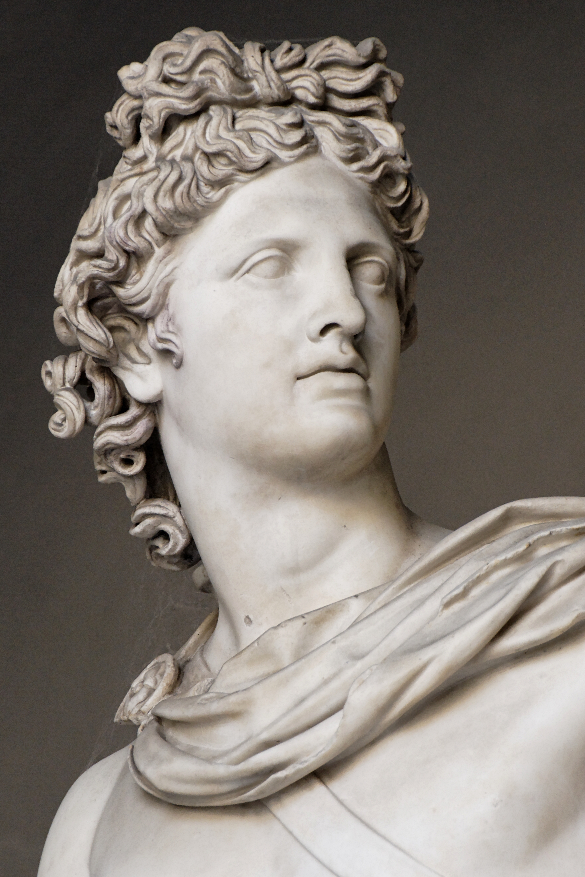Figure 18: (R3_12) Head of Apollo Belvedere, Vatican Museums