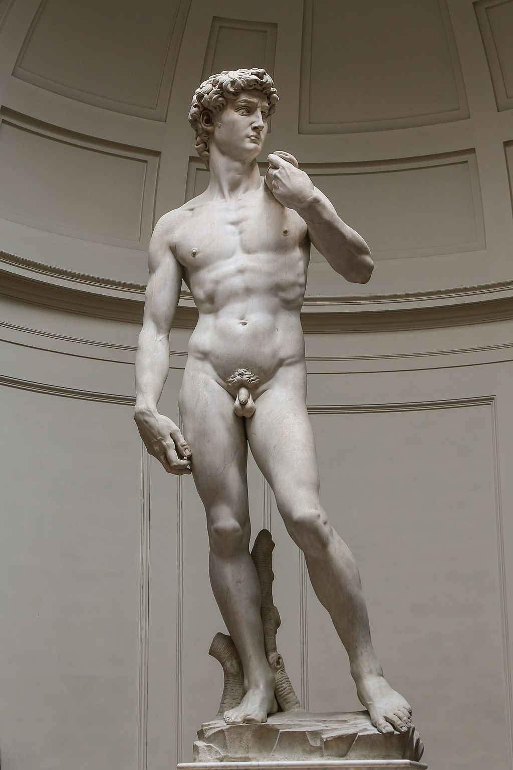Figure 15: (R3_9) Michelangelo, David, Galleria dell’Accademia