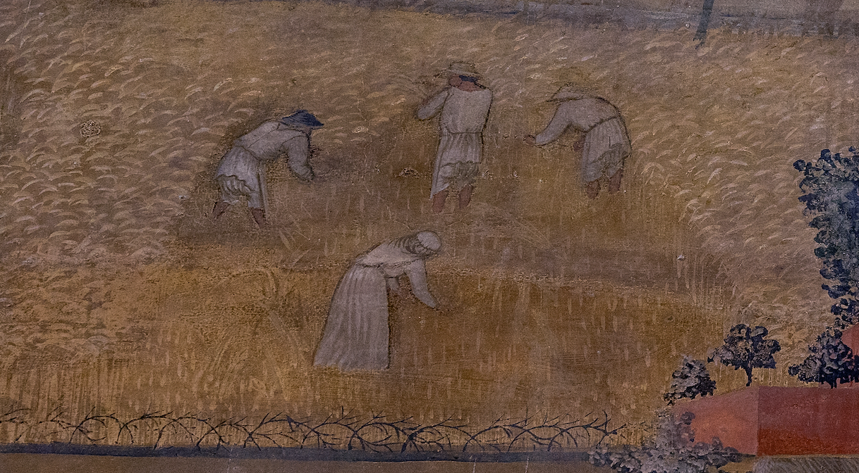 Figure 51: (S4_42a) Detail of east wall