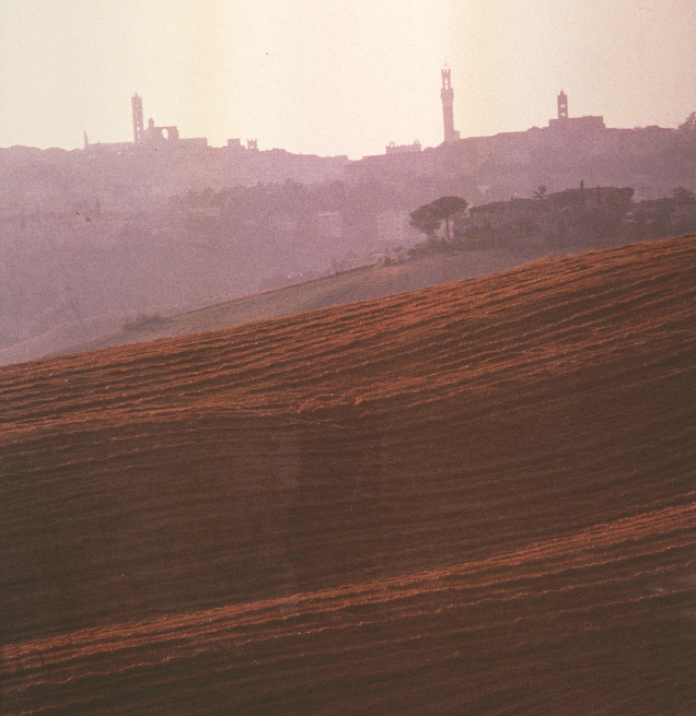 Figure 56: (S5_50) Landscape outside Siena