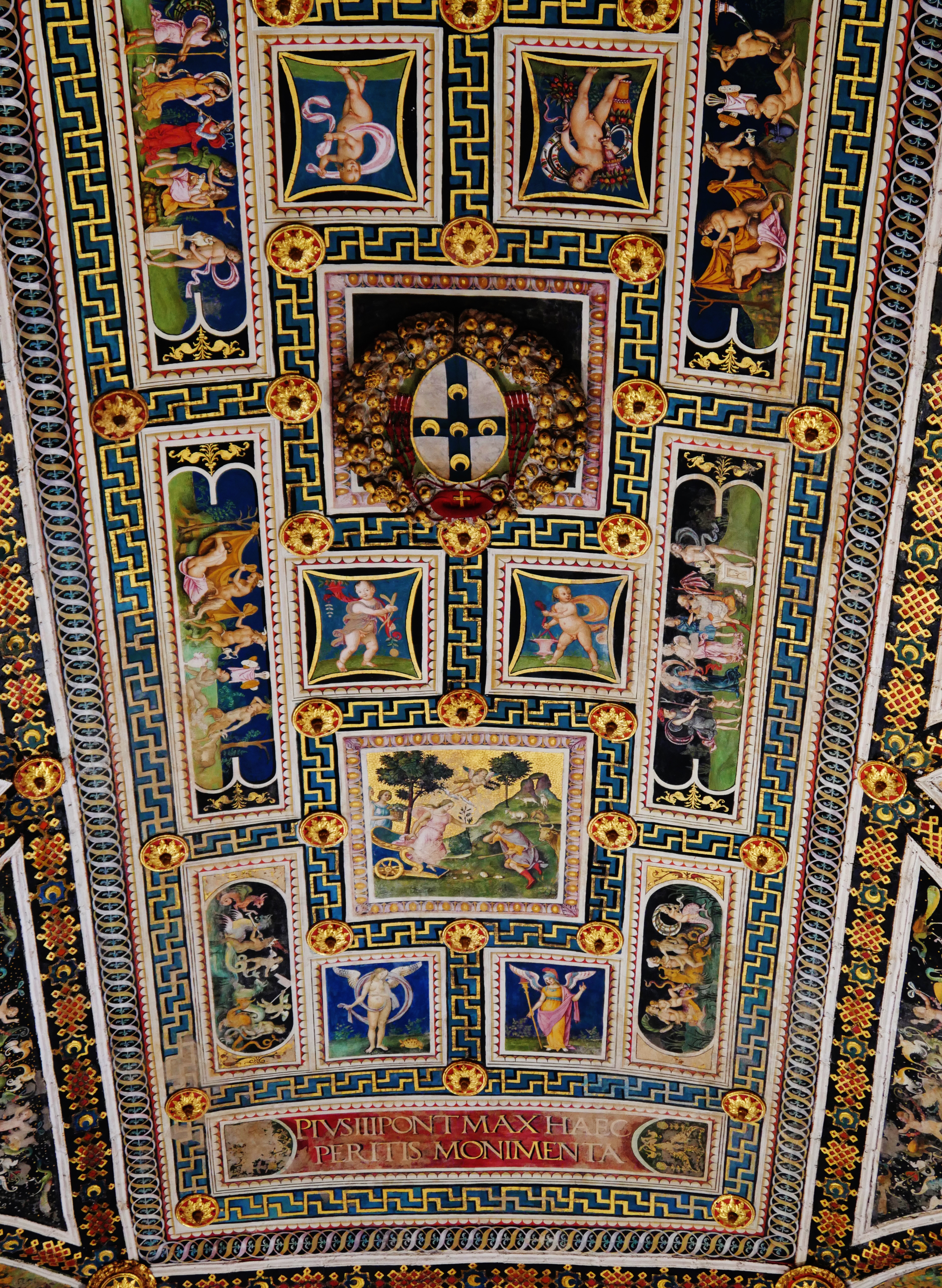 Figure 12: (S7_10) Ceiling of Libreria Piccolomini