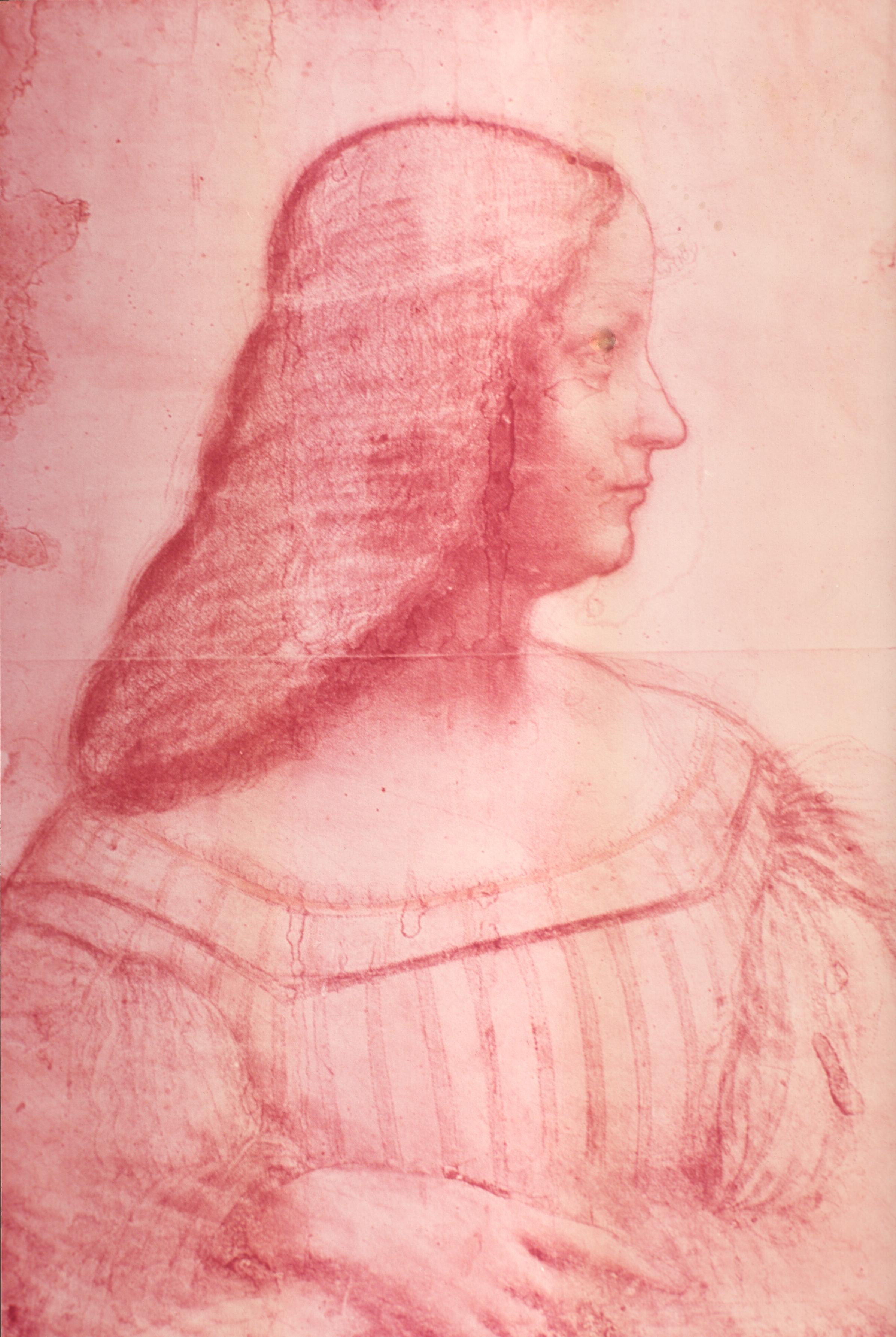 Figure 17: (V3_16) Leonardo da Vinci, Portrait of Isabella d’Este, Musée du Louvre