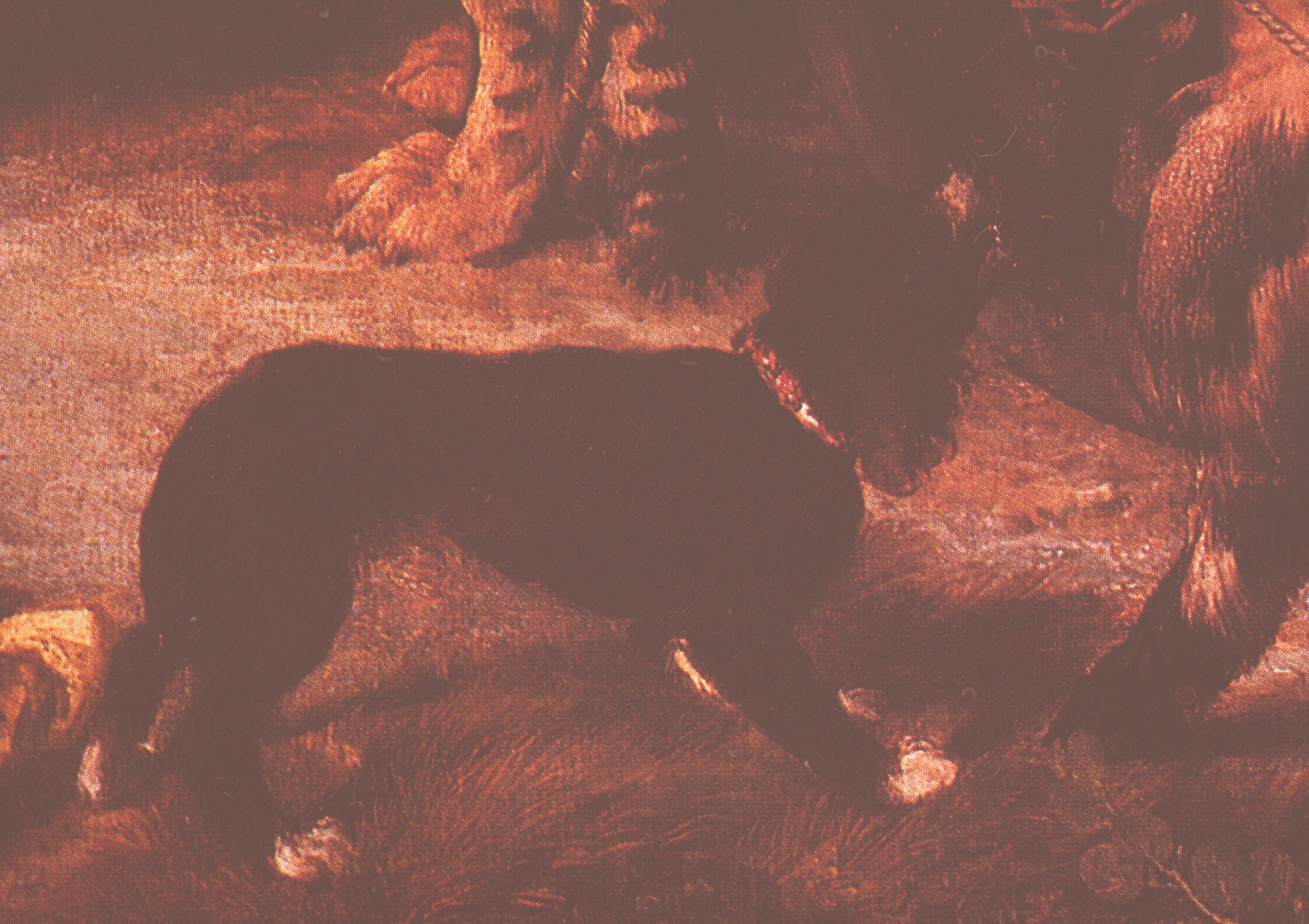 Figure 57: (V3_56) Detail from Titian, Bacchus and Ariadne