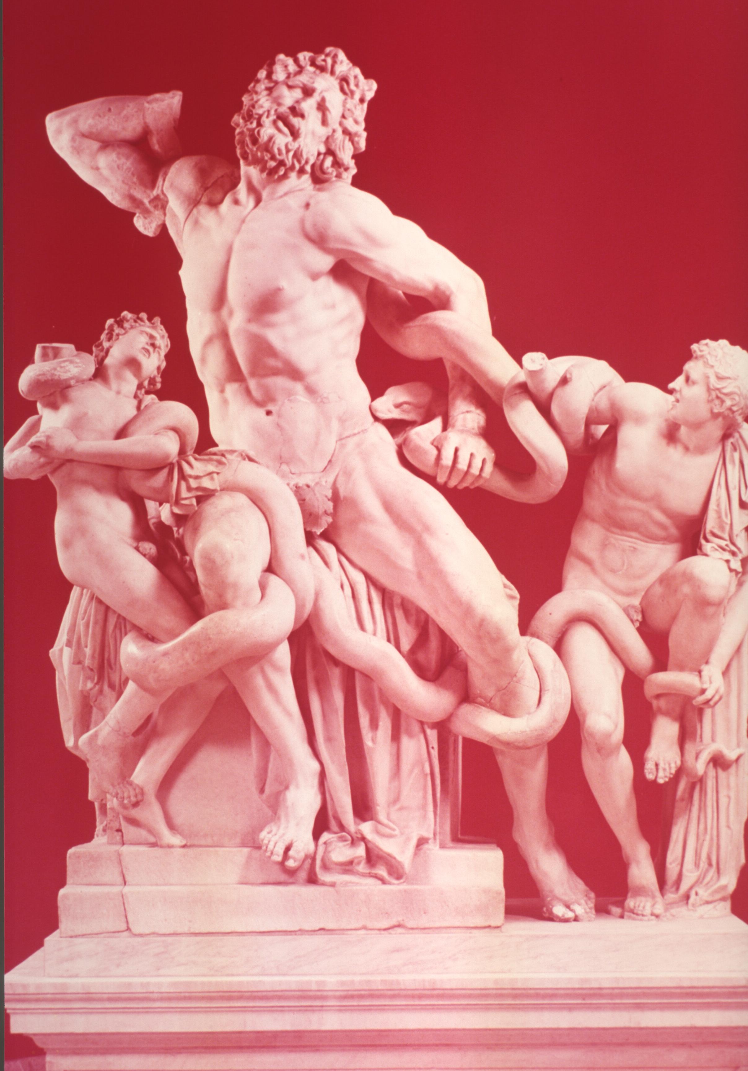 Figure 60: (V3_59) Laocoön, Museo Pio Clementino