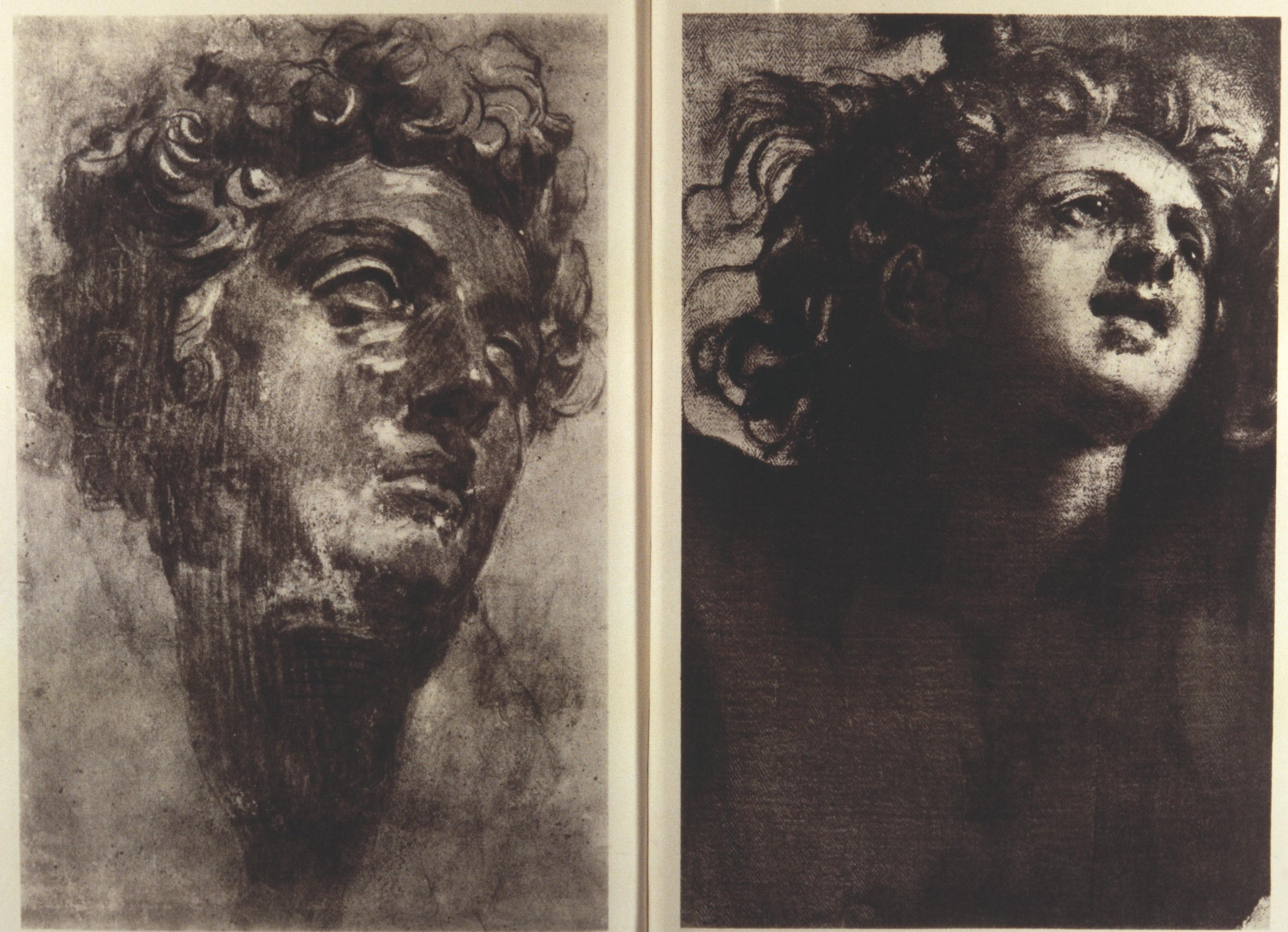 Figure 38: (V4_38) Tintoretto, Detail of the head of Satan, Sala Superiore