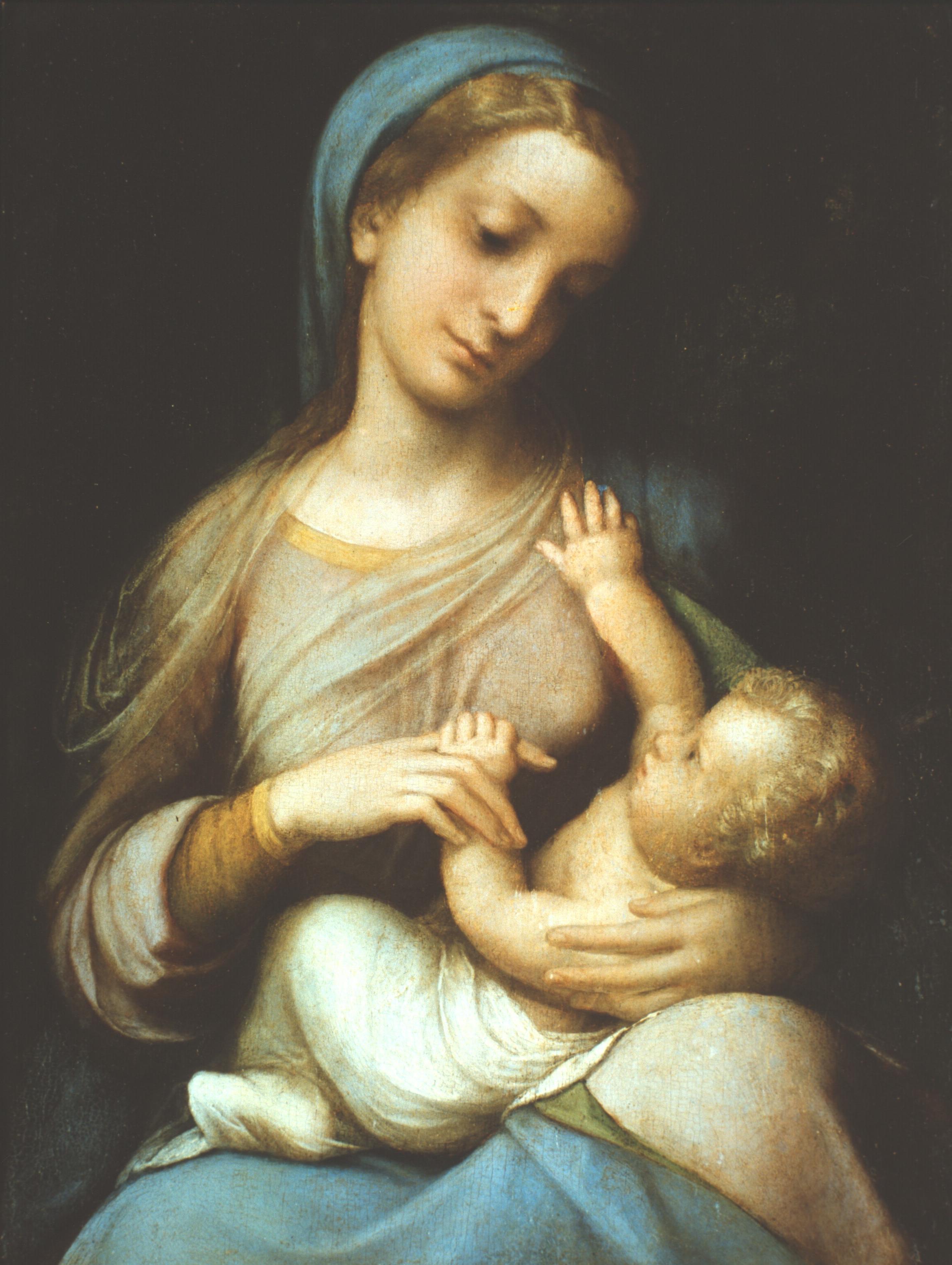 Figure 11: (V5_11) Correggio, Madonna Campori, Galleria Estense