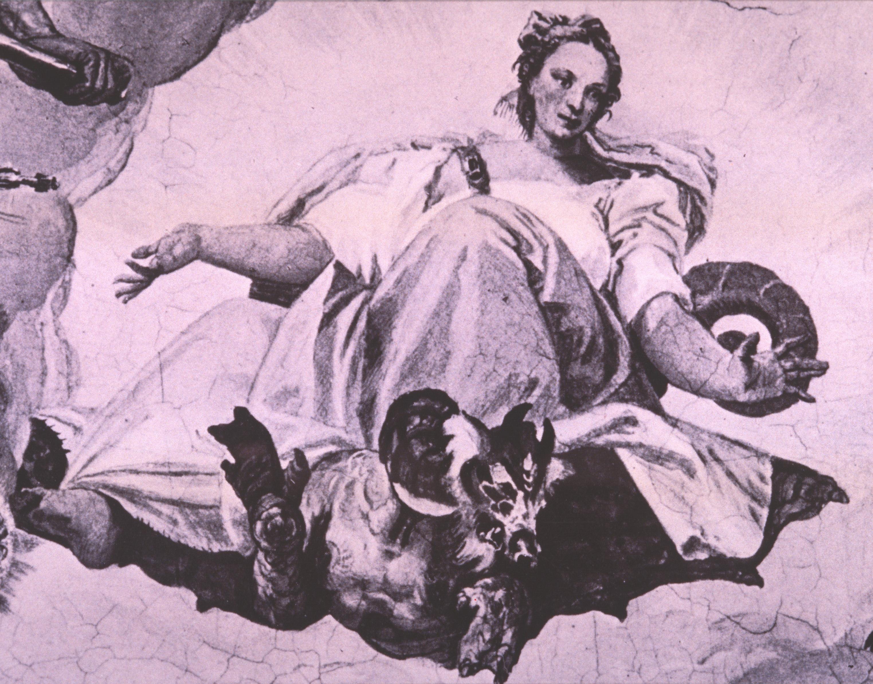 Figure 46: (V5_48) Detail from the ceiling of the Sala dell’Olimpo