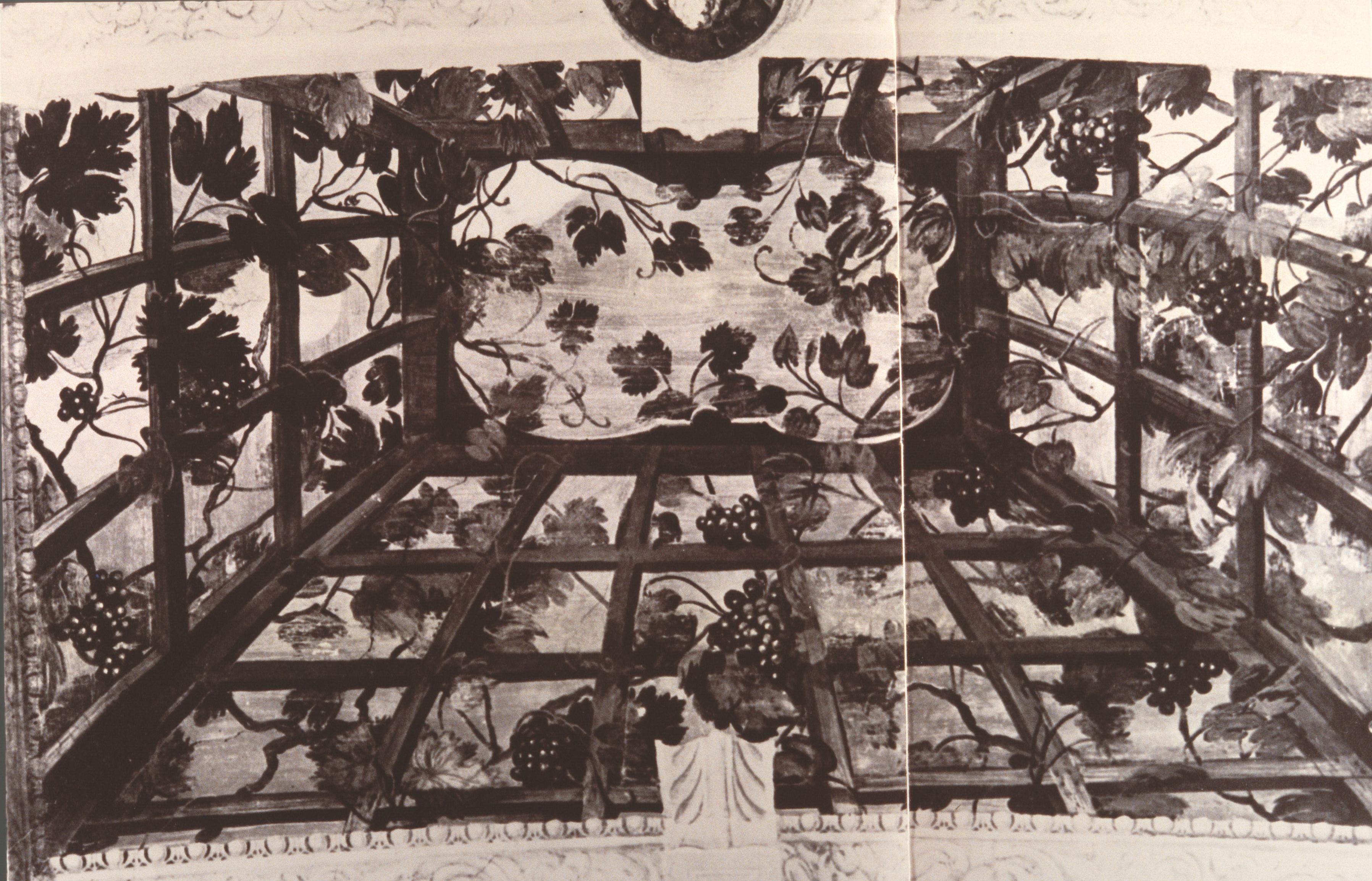 Figure 56: (V5_58) Detail from the Stanza di Bacco